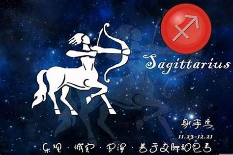 射手女適合的星座|射手女適合什麼星座？深度解析與配對指南